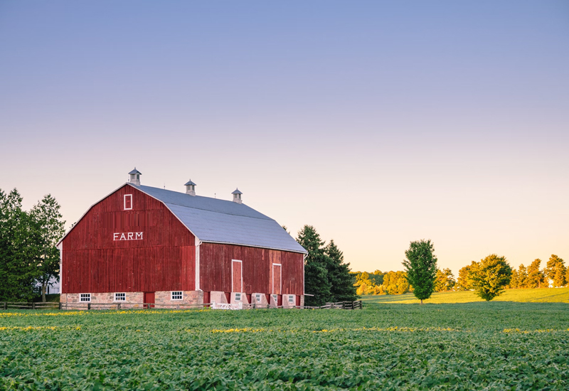 Case Studies: Poultry and Meat Farm