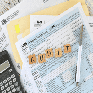 Statutory Audits